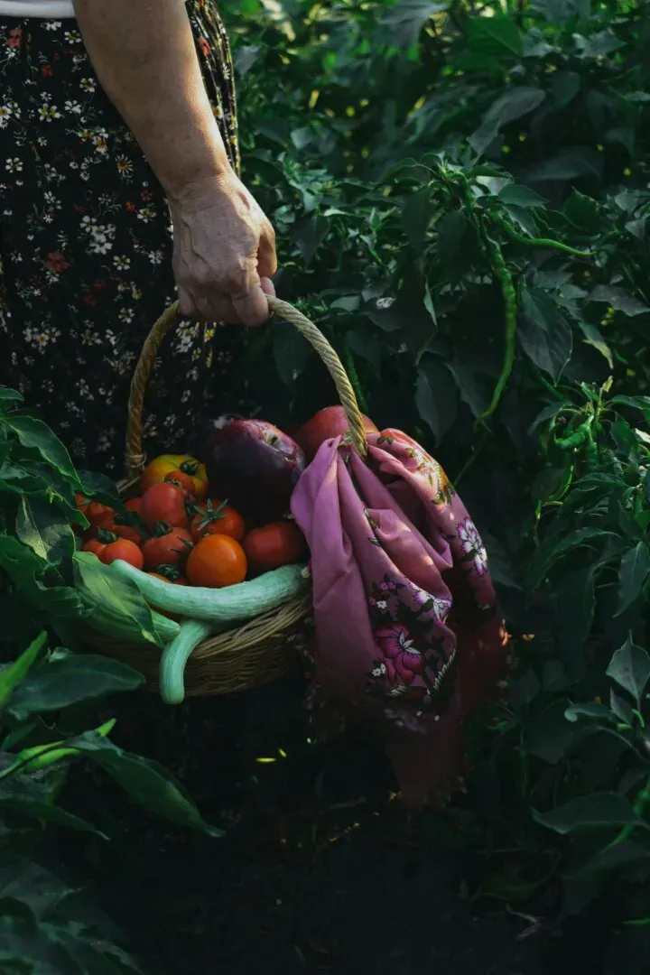 Un cesto di verdure appena raccolte